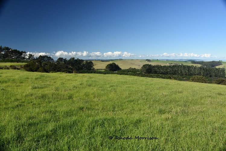 986 Tinopai Road Matakohe_41