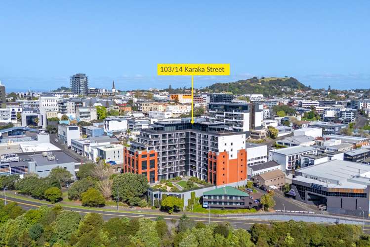 103/14 Karaka Street Eden Terrace_15