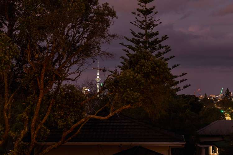 18 Alexis Avenue Mount Albert_9