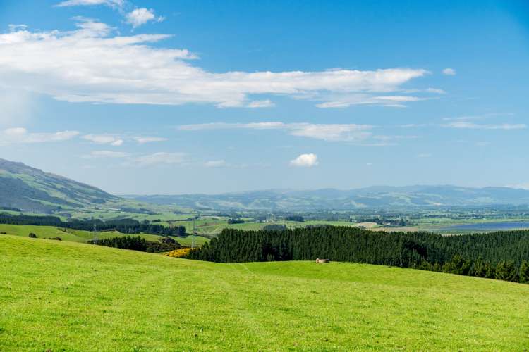 Waihola Hill Road Milton_4