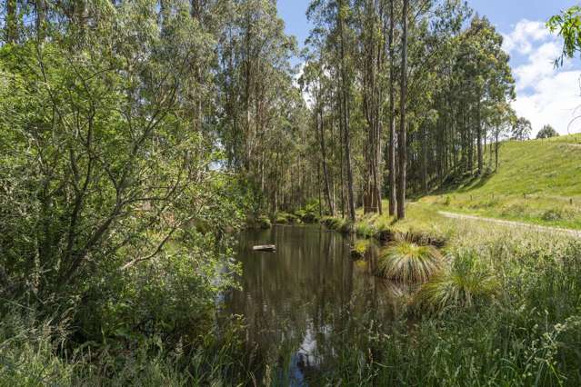 173A Otake Road Kinloch_4