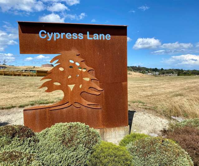 11 Cypress Lane Balclutha_2