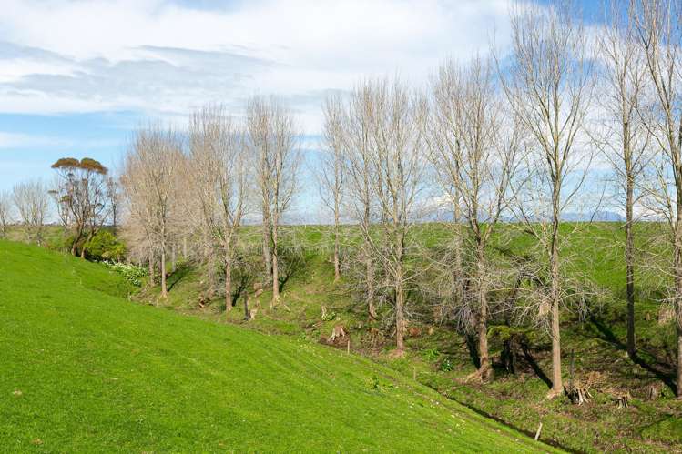 190 Ngatimaru Road Tikorangi_19