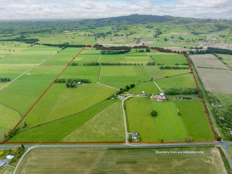 250 No 8 Road Morrinsville_33