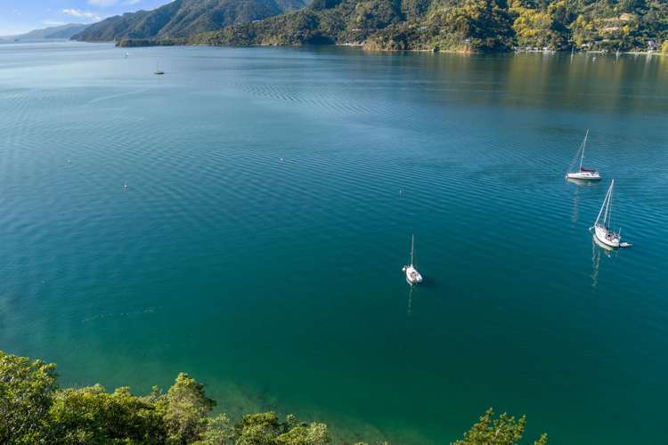 The Snout Waikawa Bay Picton_13