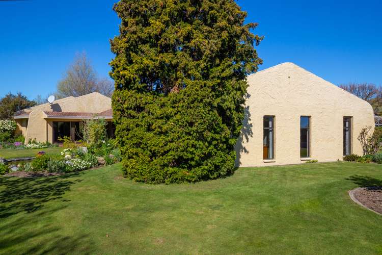 13 Lewis Street Redwoodtown_15