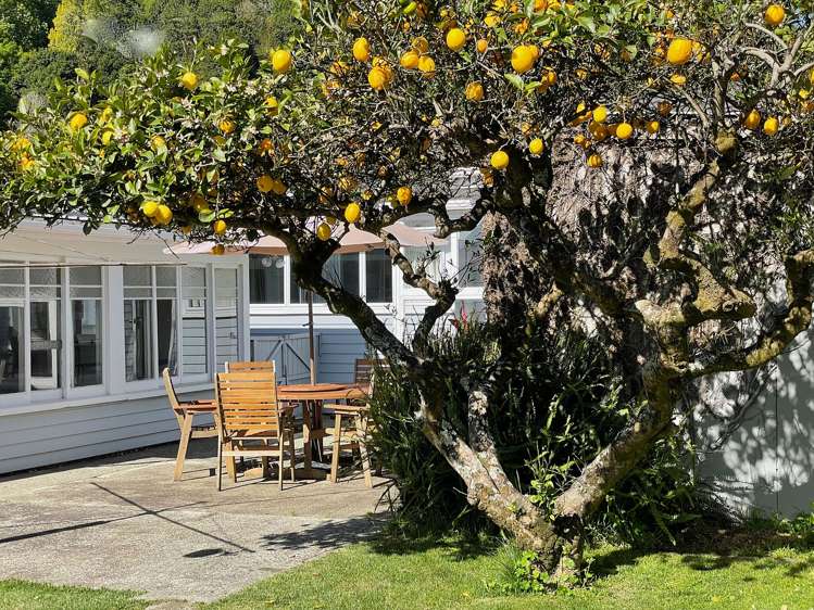 12 Pitt Street Maitai_14