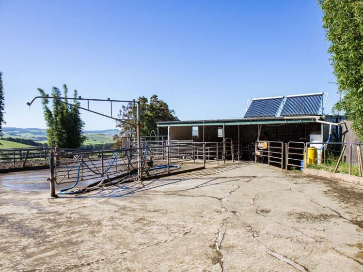 450a Settlement Road Kaiwaka_0