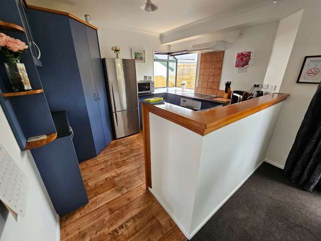 14B Te Aroha Street Hamilton East_3