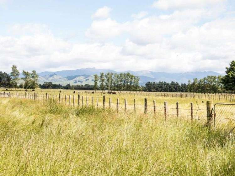 64 Boundary Road Upper Plain_25