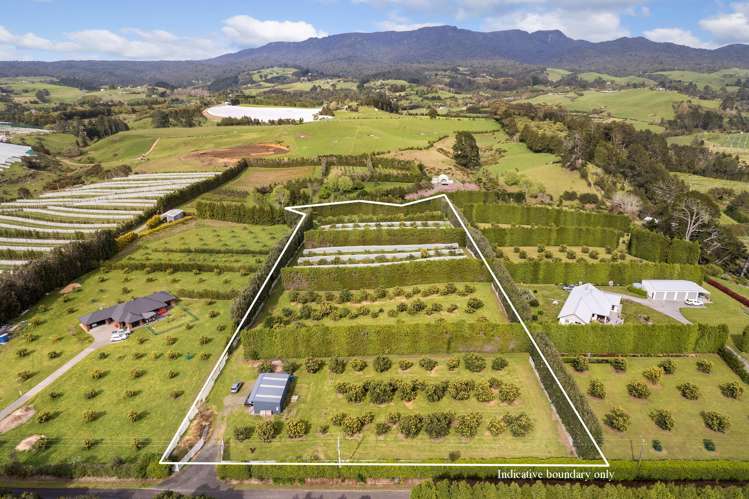 59 Pine Ridge Lane Aongatete_5