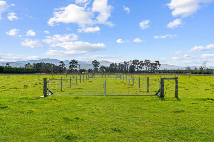 353 Hughes Line Carterton_17