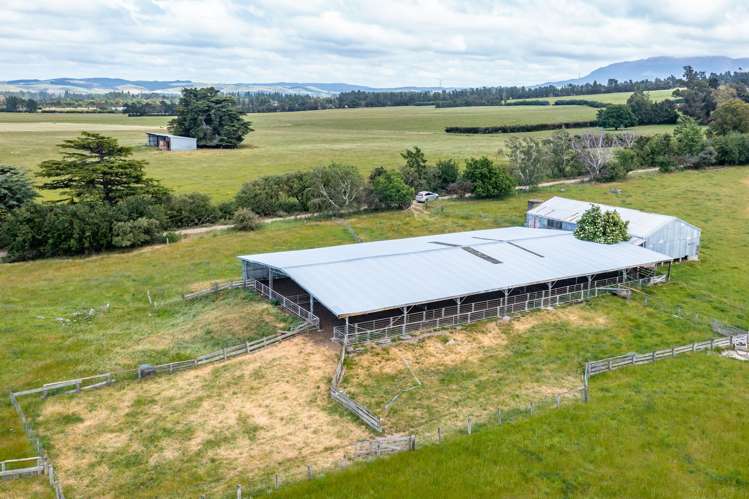 379 Mount Brown Road Broomfield_10