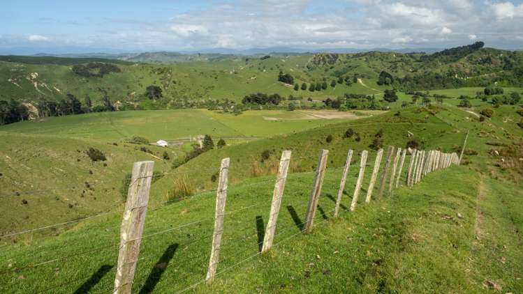 1311 Pahiatua Pongaroa Road Pahiatua_3