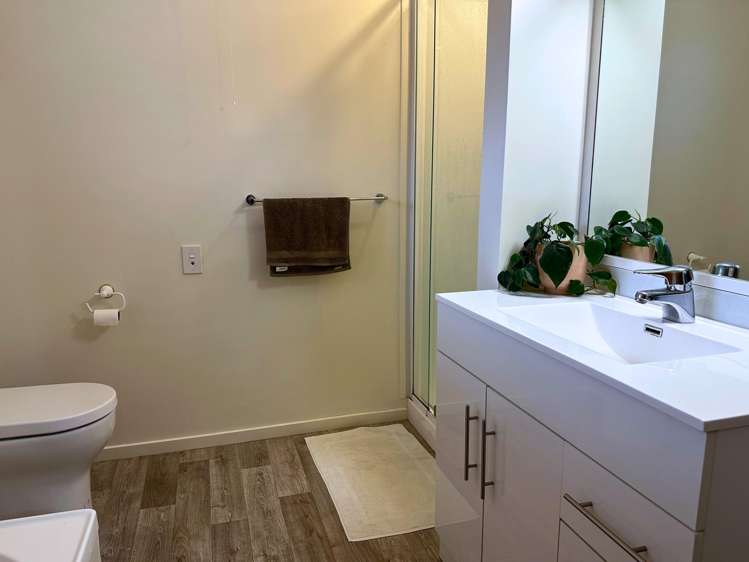 12 Solway Drive Witherlea_6