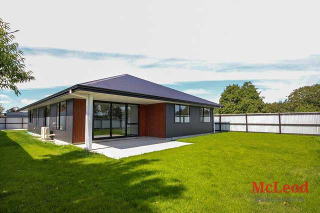86a George Street Tinwald_1