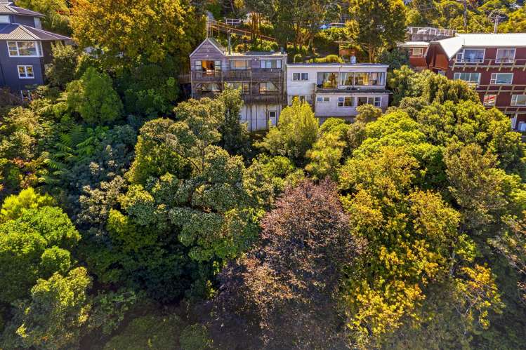 1 & 2/60 Barnard Street Wadestown_13