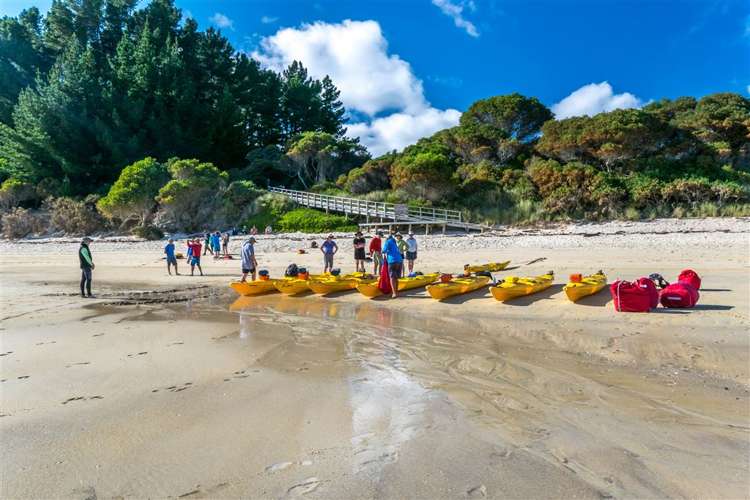 29 Awaroa Inlet Awaroa Bay_38