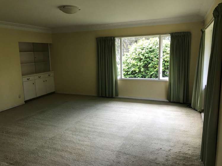 35 Puriri Avenue Greenlane_1