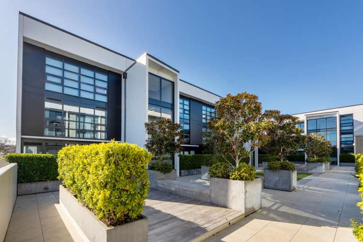 107/8 Kingsland Terrace Kingsland_14