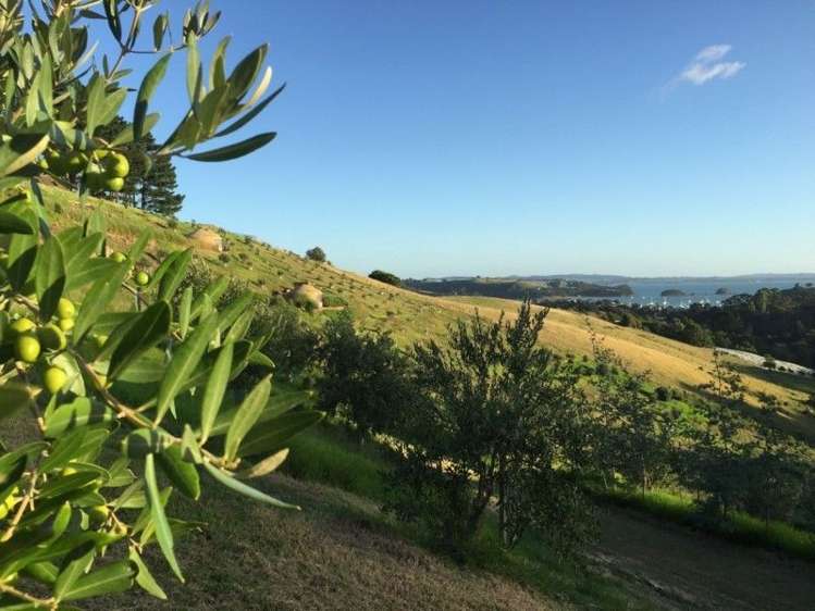 57 Junction Road Palm Beach_16