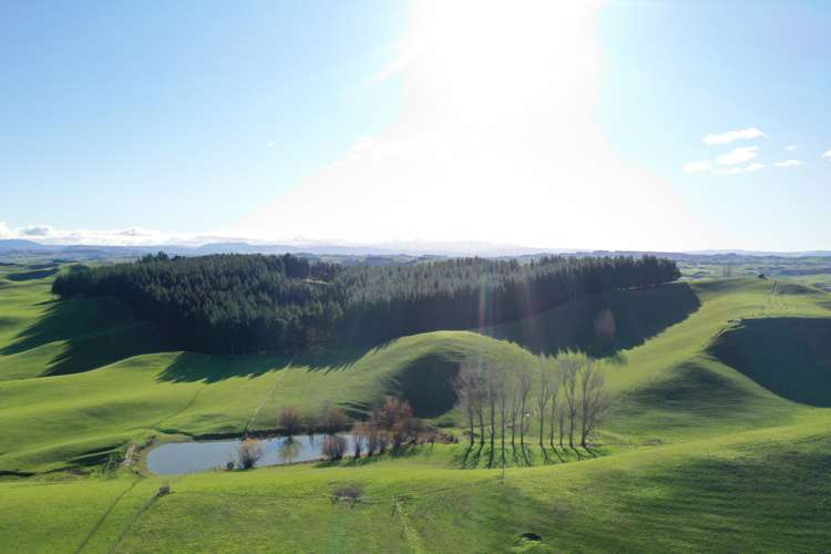 712 Matapiro Road Crownthorpe_5