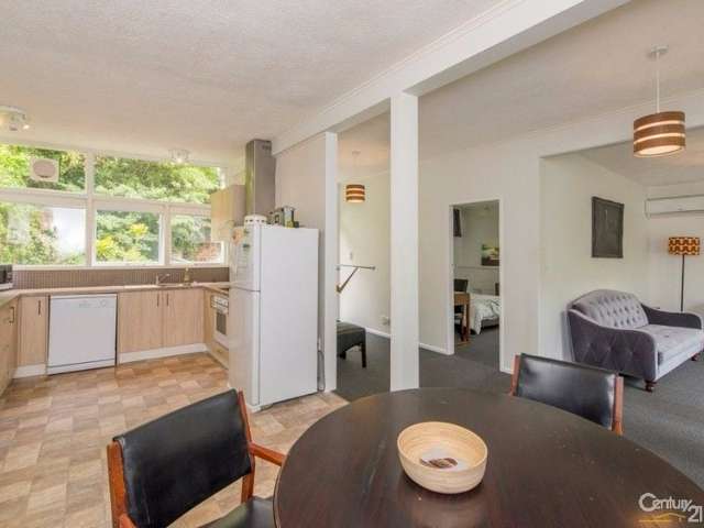 14A Balfour Street Mornington_4