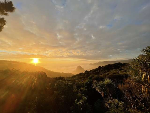 73 Piha Road Piha_2