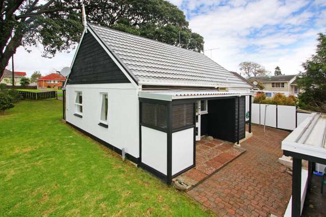 1m Green Road Panmure_1