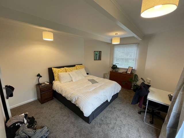 40B Crummer Road Grey Lynn_1