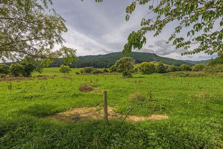 295A North Manakau Road_2