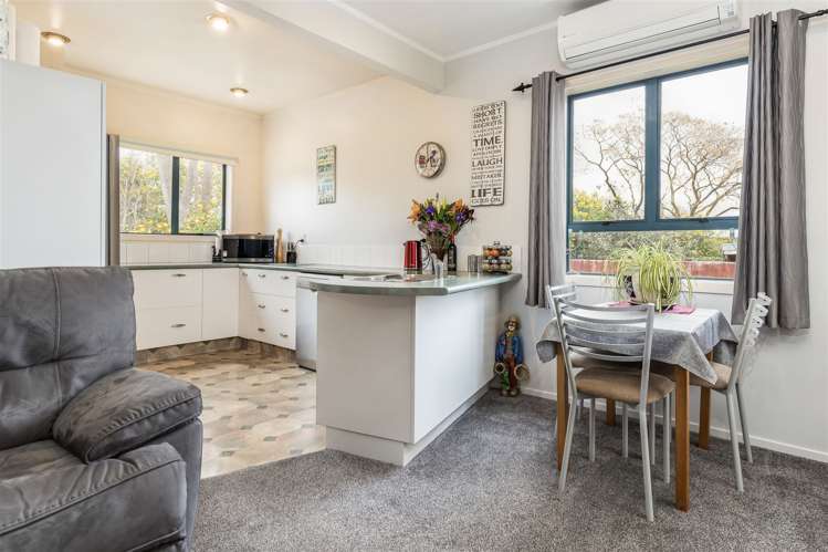 17 Havelock Street Renwick_6