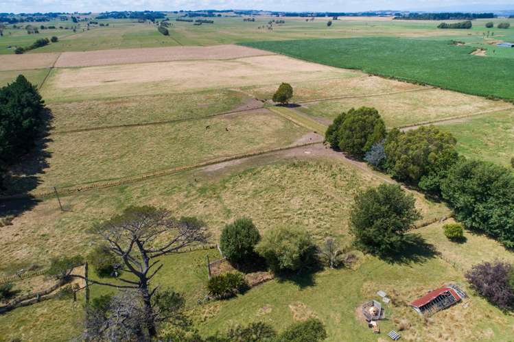 176 Colemans Road Marton_18