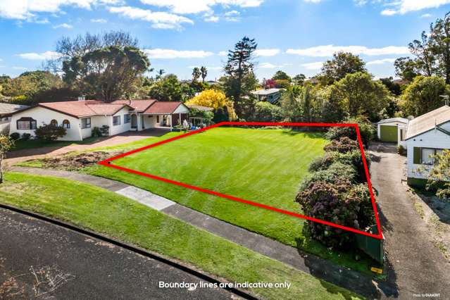 37 Moloney Terrace Pukekohe_4