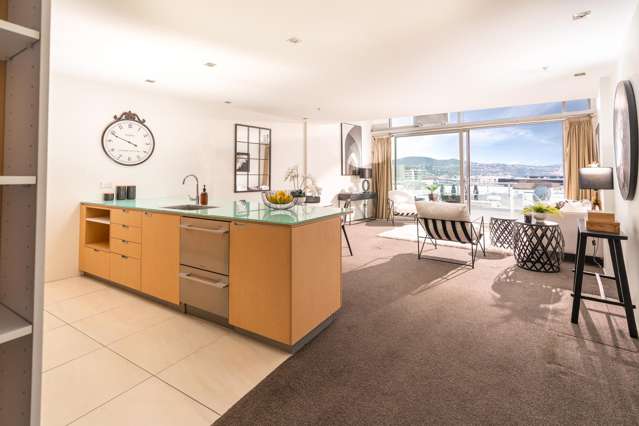 SUNNY AND SPACIOUS CITY PENTHOUSE