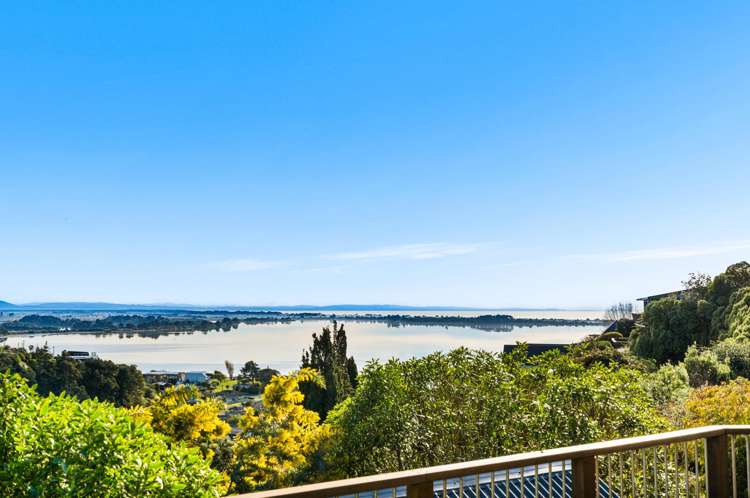 53 Soleares Avenue Mount Pleasant_31