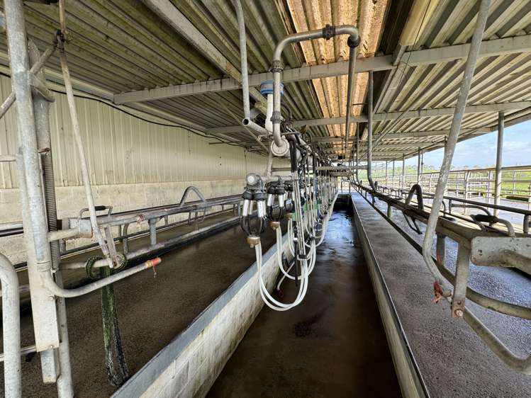 260 Maihiihi Road Maihiihi_14