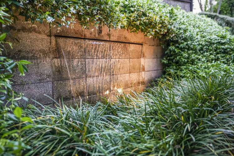 54 Memorial Drive Hamilton East_21