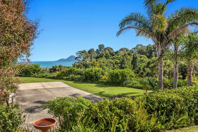 16 Berg Place Whakatane_1