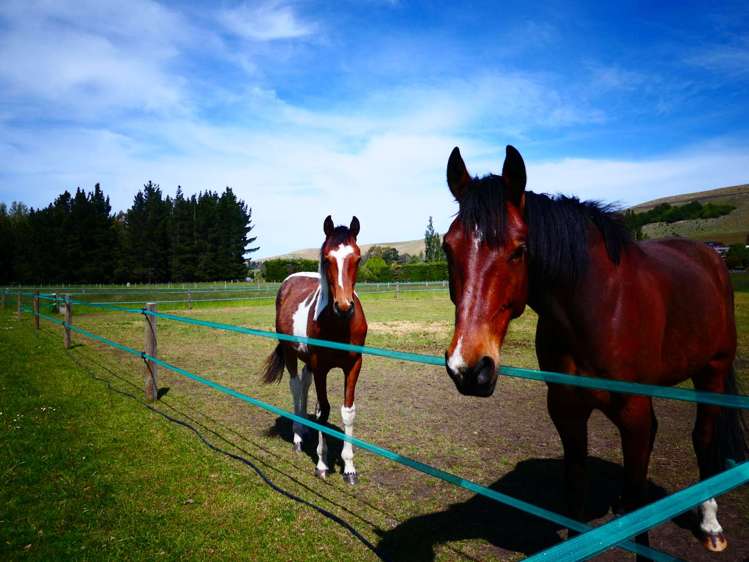 10 Singleton Street Waikari_18