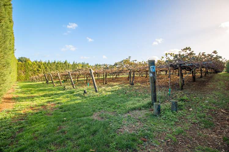 32 Gooseberry Grove Pauanui_7