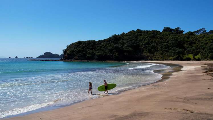 84 Onekainga Rise, Mouresses Bay Whananaki_2