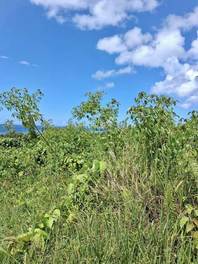 Lot 8 Nukubalavu Road Savusavu_27