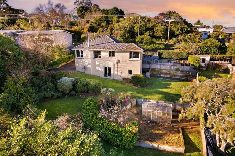 429 Pine Hill Road Pine Hill_22