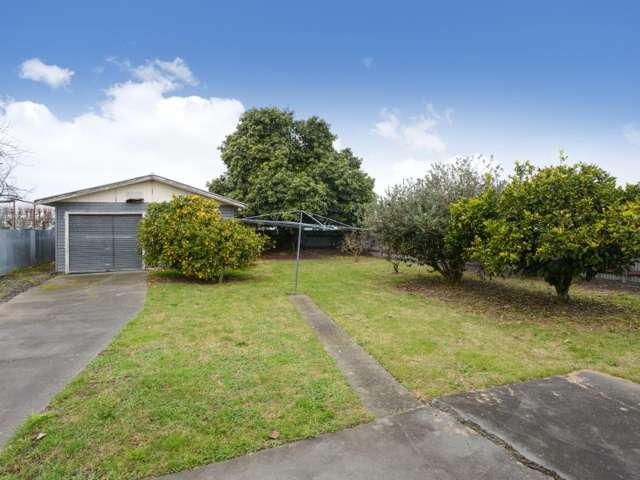 77 Masefield Avenue Maraenui_1