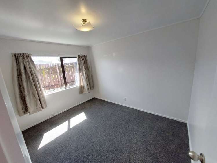 431 Warspite Avenue Ascot Park_9