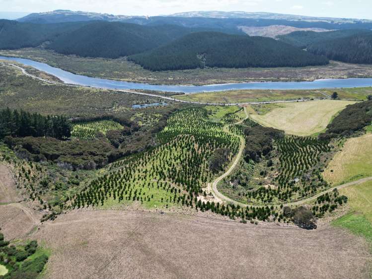 Toko Mouth Road Toko Mouth_14