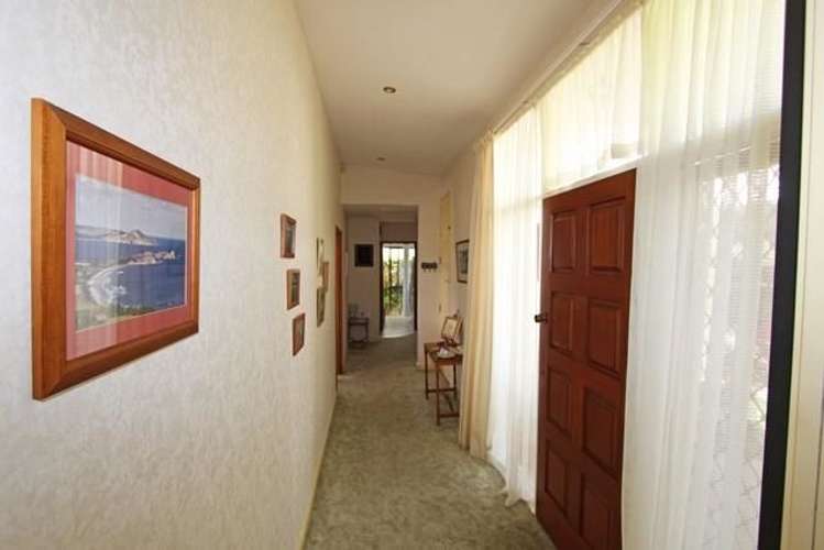 117 Doon Street Waverley_13