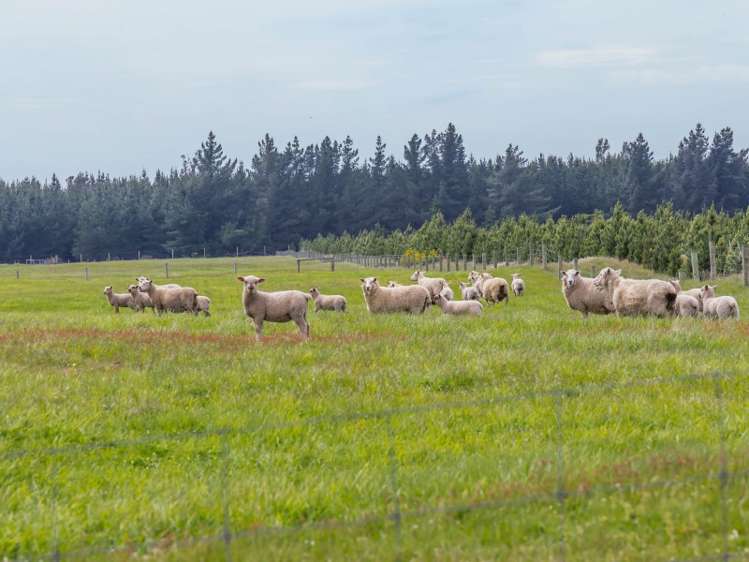 150 Thompsons Road West Melton_15