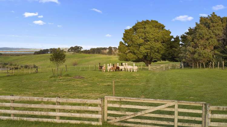 68D Tuparekura Road, South Head Helensville_37